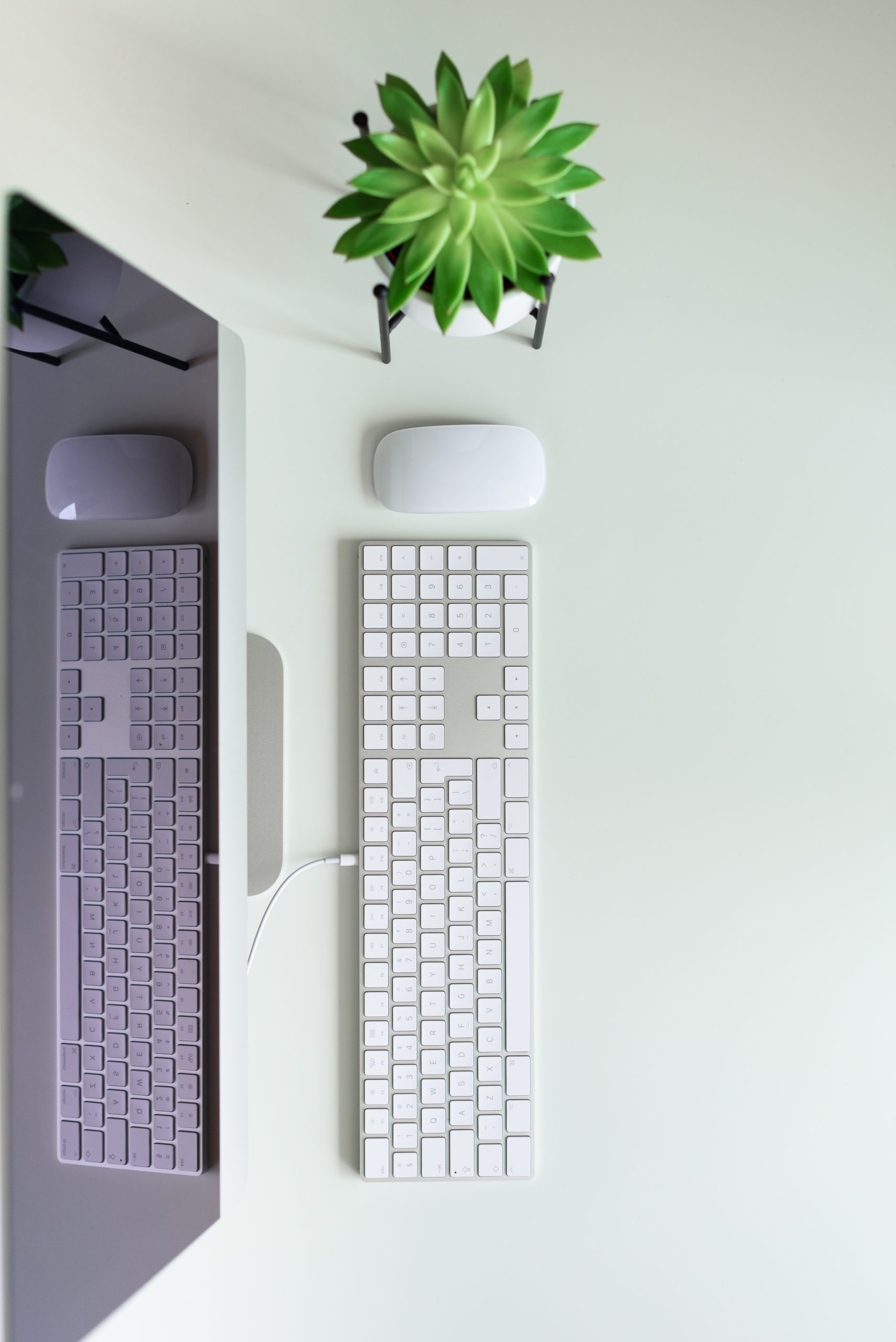 White office desk table with computer keyboard, mouse, monitor, succulent plant and other office supplies. Top view, copy space, flat lay.